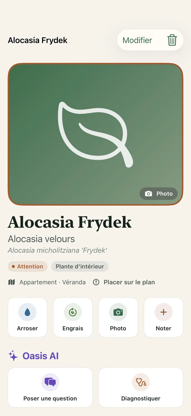 Fiche d'une Alocasia dans Oasis Rare, avec ses actions rapides Arroser, Engrais, Photo et Noter.